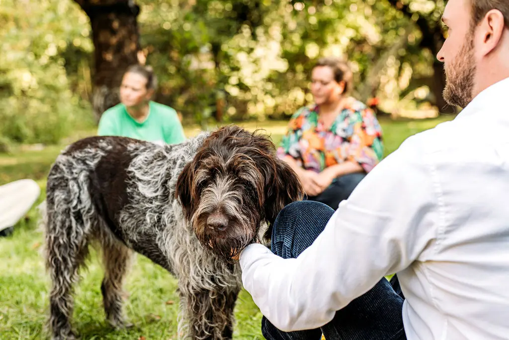 Hund wird bei einem Treffen im Freien gestreichelt, im Hintergrund eine Gespr&auml;chsrunde
